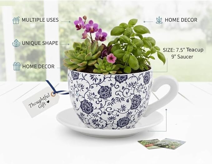 7.5" Ceramic Teacup Planter Pot with Saucer | Ideal for Succulents, Orchids, Herbs & Flowers | Indoor Use| Thoughtful Gift for Birthday, Gift Basket, Sympathy & More – White Blue Floral Teacup Planter