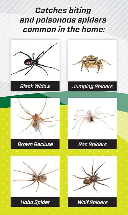 RESCUE! Spider Traps – Catches Brown Recluse, Hobo Spiders, Black Widows & Wolf Spiders - 4 Pack (12 Traps)