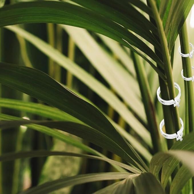 Plant Support Clips Reusable Garden Clips, Secured Plastic Plant Clips, Tomato Support Clips for String Trellis for Climbing Plants Outdoor Indoor Plant Flowers Stem Vine Fixing Clips (100, Black)