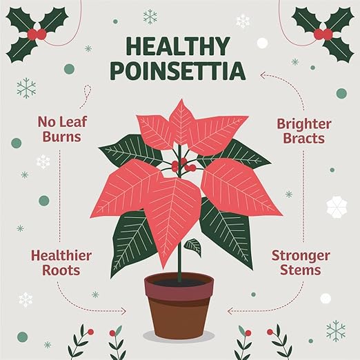Gardenera Poinsettia Plant Fertilizer - 3-1-2 NPK - Organic Liquid Plant Food for Christmas Flowers and Trees - 32oz Concentrate