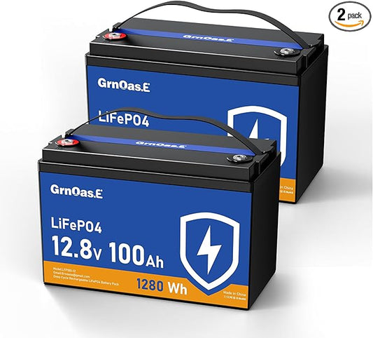 12V 100Ah LiFePO4 Lithium Battery, Group 31 Battery with Low-Temp Cut Off Protection, Built-in 100A BMS, 15000+ Deep Cycles 1280Wh Rechargeable for Solar, Home Energy Storage, RVs, Marine