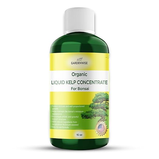 Organic Premium Seaweed Fertilizer for All Bonsai - Liquid Kelp Plant Food - Nutrient-Rich Liquid Plant Food & Soil Enhancer for Growth Control (16 OZ)