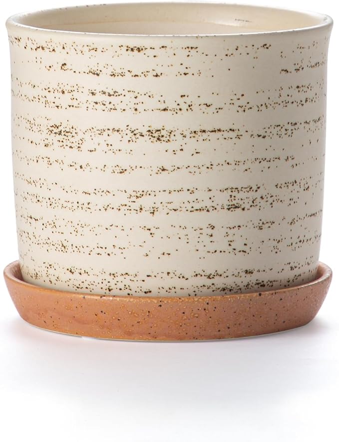 6 Inch Plant Pot: Ceramic Planter with Drainage Hole & Saucer - Flowerpot for Indoor & Outdoor Plants with Separate Tray for Home & Office - Brush Color