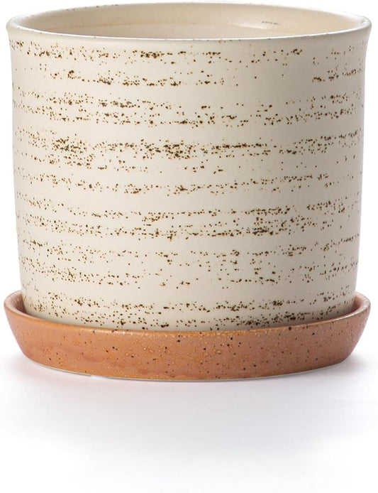 6 Inch Plant Pot: Ceramic Planter with Drainage Hole & Saucer - Flowerpot for Indoor & Outdoor Plants with Separate Tray for Home & Office - Brush Color