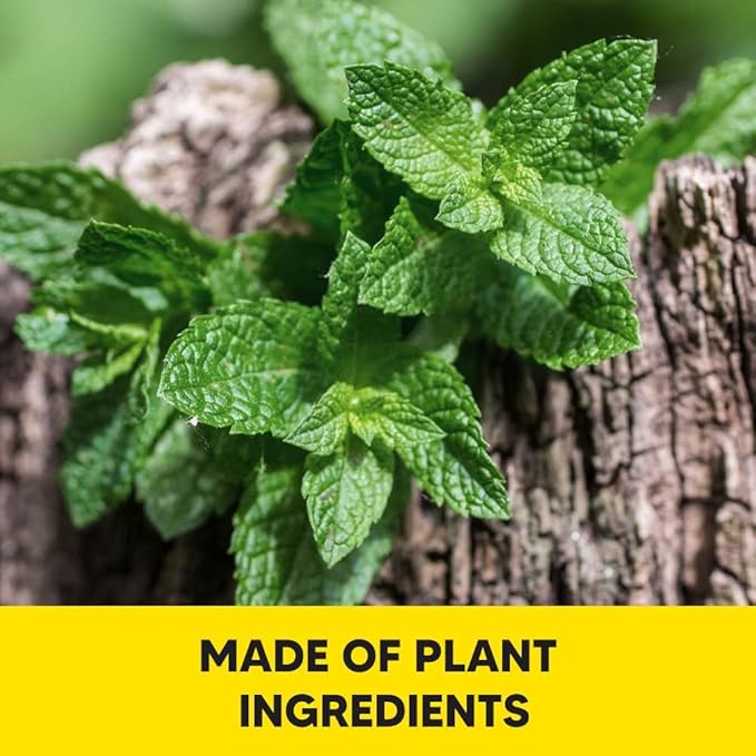 Squirrel Repellent Outdoor, Chipmunk & Squirrel Repellent, Keep Squirrels Away from Garden, Attic, Yard, Garage and Bird Feeder, 3 Months Protection, Safe Around Kids, Pets & Plants - 8P