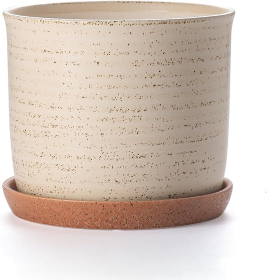 8 Inch Plant Pot: Ceramic Planter with Drainage Hole & Saucer - Flowerpot for Indoor & Outdoor Plants with Separate Tray for Home & Office - Brush Color