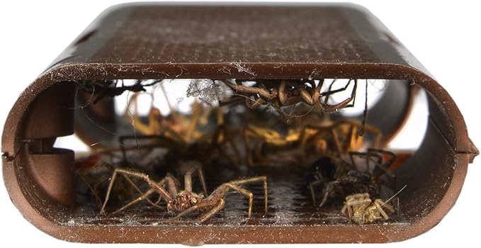 RESCUE! Spider Traps – Catches Brown Recluse, Hobo Spiders, Black Widows & Wolf Spiders - 2 Pack (6 Traps)