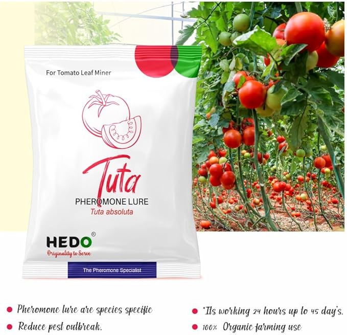 HEDO Delta Pheromone Trap with Tuta Lure for Tomato Leaf Miner(Tuta absoluta) to Control Damage in Tomato Pack of 5