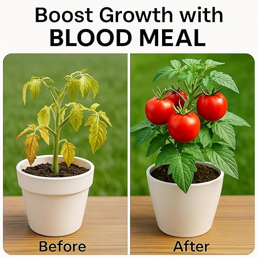 𝐁𝐄𝐒𝐓𝐒𝐄𝐋𝐋𝐄𝐑 Organic Blood Meal Fertilizer by Gardenera - 12-0-0 NPK - All-Natural Plant Food Source of Nitrogen for Organic Gardening, Flowers, Vegetables, Trees & Shrubs [8 OZ]