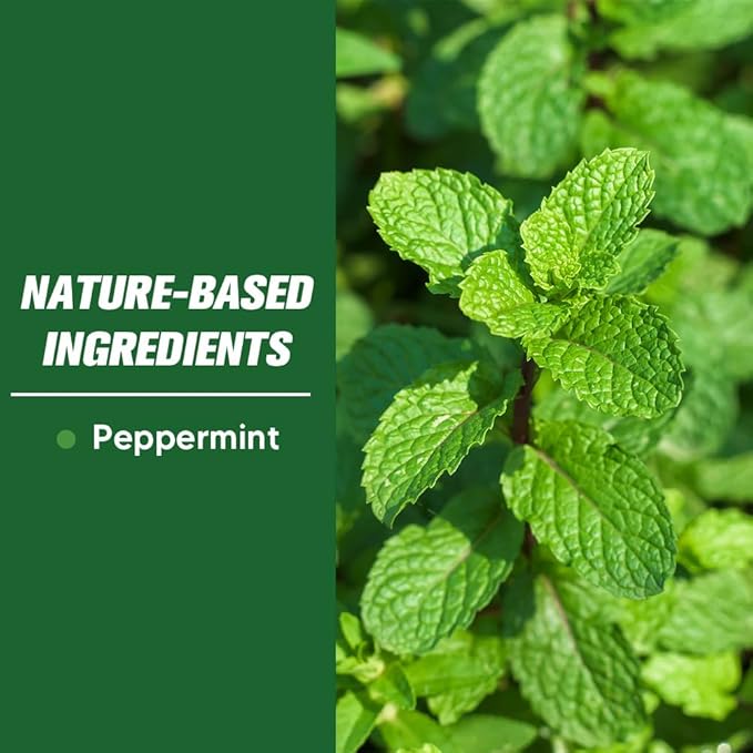 Pest Control, Mice Repellent Indoor, Mouse Repellant Pouches, Rodent Repellent, Peppermint to Repel Ant, Roach & Spider, Rat Deterrent for House, Keep Mice Away, Effective for 60-90 Days-10P