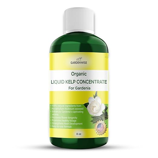 Organic Premium Kelp Seaweed Fertilizer for Gardenia - Liquid Fertilizer - Liquid Plant Food - Nutrient-Rich Soil Enhancer - Natural Plant Food for Gardenia Plant (8 OZ)