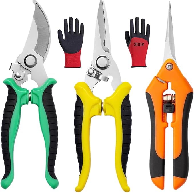 Pruning Shears Set - 3 Pack Garden Shears with Stainless Steel Blades, with Safe Lock Mechanism Handheld Garden Clippers, Gardening Snips, Garden Scissors, and Gardening Gloves