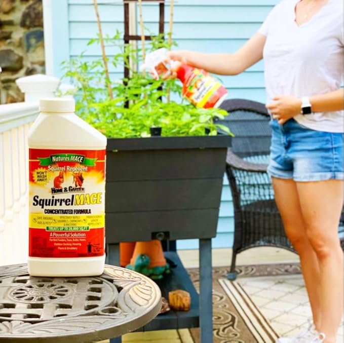 Nature's Mace Squirrel Mace, Squirrel Repellent Spray Outdoor, Combo Kit, Squirrel and Chipmunk Repellent, Keep Squirrels Out of Your Garden, Attic, Bird Feeders, Fruit Trees, Plants, Potted Plants