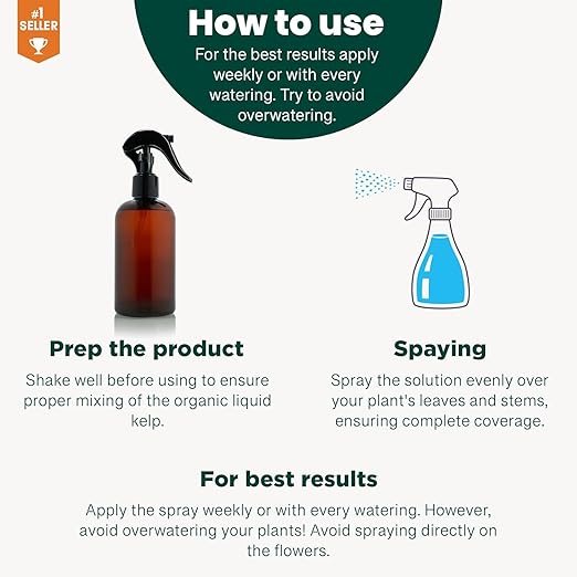 GARDENERA Professional Organic Liquid Kelp Spray for KALANCHOE Plants - 8 oz - Ready-to-Use Fully Organic Seaweed & Kelp Fertilizer Mist