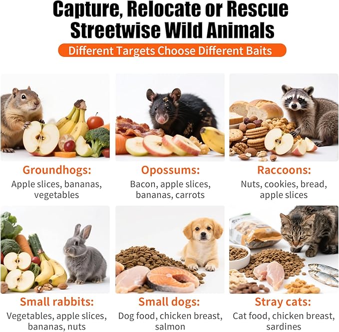 Uablun 31" Live Animal Trap, Heavy Duty Folding Squirrel Traps Outdoor, Humane Catch & Release Cat Trap for Stray Cats, Raccoons, Squirrel, Skunk, Mole, Groundhog, Armadillo, Rabbit
