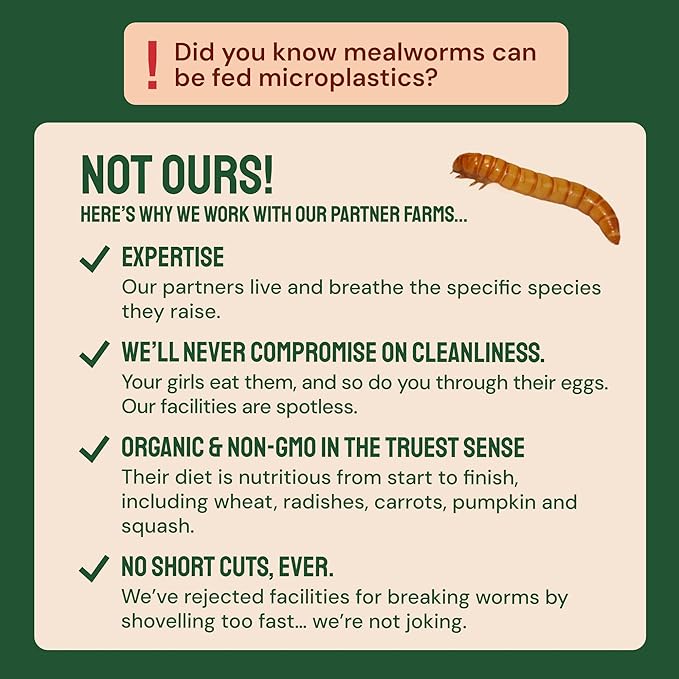 Hatortempt Dried Mealworms - 5 Lb, Non-GMO & Organic - High-Protein Mealworms for Wild Birds & Ducks, Chicken Treats & Bird Food
