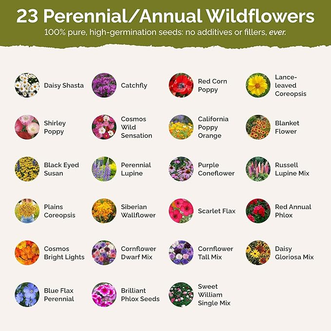 Eden Brothers Northeast Wildflower Mixed Seeds for Planting, 10 lb, 4,800,000+ Seeds with Cosmos, Candytuft, Shasta Daisy | Attracts Pollinators, Plant in Spring or Fall, Zones 3, 4, 5, 6, 7, 8, 9, 10