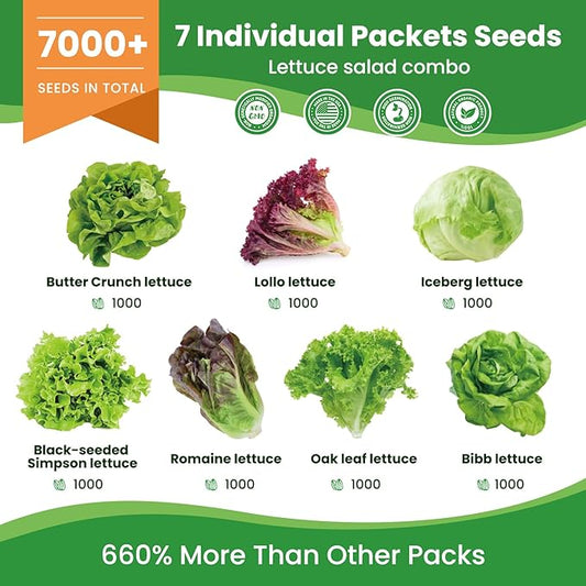 7000+ Organic Lettuce Seeds Collection - 7 Variety Heirloom Lettuce Seeds Mix Iceberg, Romaine, Bibb, Butter Crunch, Black-Seeded Simpson & More Non-GMO, Heirloom for Hydroponics or Garden