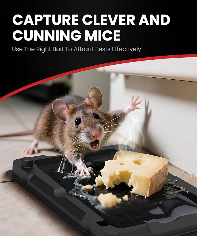 Sticky Mouse Traps Indoor for Home - 6 Pack Glue Traps for, Roaches, Spiders, Rodent Catcher for Kitchen, Garage, Sticky Glue Boards for Insects, Pet Safe Pest Control, Non-Toxic, Small Size