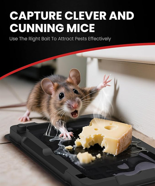 Sticky Mouse Traps Indoor for Home - 6 Pack Glue Traps for, Roaches, Spiders, Rodent Catcher for Kitchen, Garage, Sticky Glue Boards for Insects, Pet Safe Pest Control, Non-Toxic, Small Size