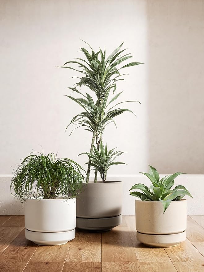 LE TAUCI Large 14 Inch Plant Pot with Saucer | Ceramic Outdoor & Indoor Big Planter Pot | Drainage Hole, Mesh Pad & Plug | Unglazed Porous | Modern Minimalist for Home and Patio – Speckled Oat