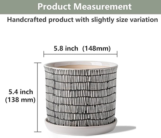 5.8 Inch Plant Pot: Ceramic Planter with Drainage Hole & Saucer - Cylinder Flowerpot for Indoor & Outdoor Plants - with Separate Tray for Home & Office - Striped Design