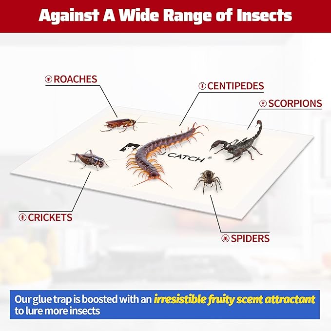 LULUCATCH Cricket Insect Glue Traps - 48 Pack Bug Sticky Traps, Large & Adhesive Spider Scorpion Trap with Pre-Baited Attractant, Highly Effective Glue Boards Indoor, Non-Toxic, Pet Safe Pest Control