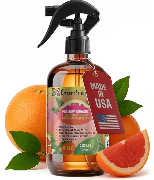 GARDENERA Professional Organic Liquid Kelp Spray for Grapefruit Plants - 8 oz - Ready-to-Use Fully Organic Seaweed & Kelp Fertilizer Mist