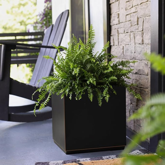 Wallowa Metallic Heavy Cube Planter Box, No Assembly Required, Seamless Large Black Outdoor Planter 17”Lx17”Wx20”H 24Pounds Black with Hand Brushed Gold Rim