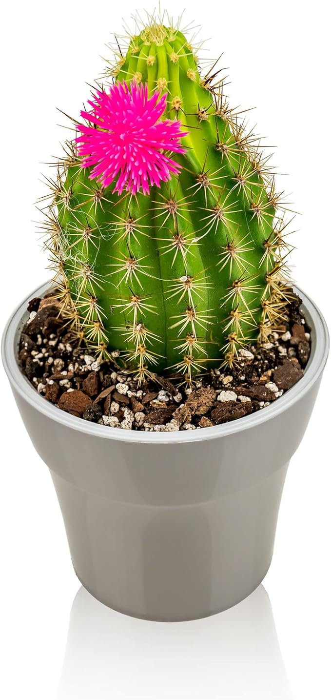 Gardenera Professional Succulent Soil Premium All Purpose Blend | Pre-Mixed Ready to Use for Cactus and Succulents | Sphagnum Peat Moss, Perlite, New Zealand Pine Bark - Made in USA - 20 Quart