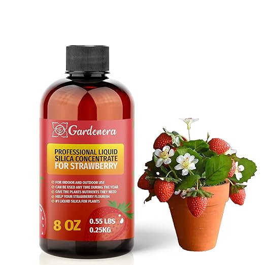 𝐁𝐄𝐒𝐓𝐒𝐄𝐋𝐋𝐄𝐑 Liquid Silica Plant Supplement - 8oz - Orange Tree Liquid Silica Boost Fertilizer - Stronger Stems & Healthy Leaves for Indoor & Outdoor Orange Tree Plants (Makes 45 Gallons)