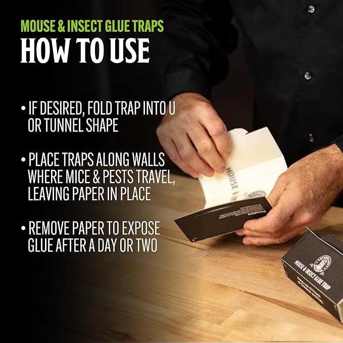 Grandpa Gus's Mouse & Insect Glue Board Traps, Extra-Long Foldable Pre-Baited Sticky Traps for Mouse, Roach, Spider, Ant & Fly, 9.25" x 5.25", Pack of 36