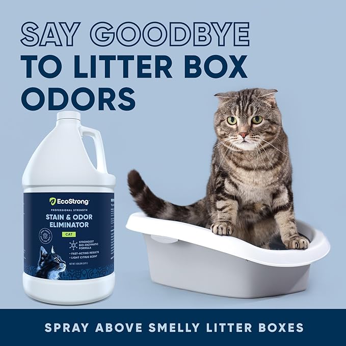 Eco Strong Cat Stain and Odor Remover| Enzyme Urine Odor Neutralizer - Stain Remover for Carpet, Litter Boxes, Bedding, and Laundry [160 Fl Oz Bundle]