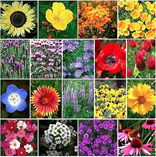 Pollinator Attracting Wildflower Seeds - Attracts Bees, Butterflies, and Other Beneficial Insects, Bees Knees Mix