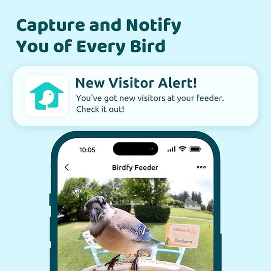 NETVUE by Birdfy Smart Bird Feeder with Camera, Bird Watching Camera, Auto Capture Video&Motion Detection, 1080P Live Steam, Cardinal Feeder Outdoor Wireless, Ideal Present for Backyard Birder, Yellow