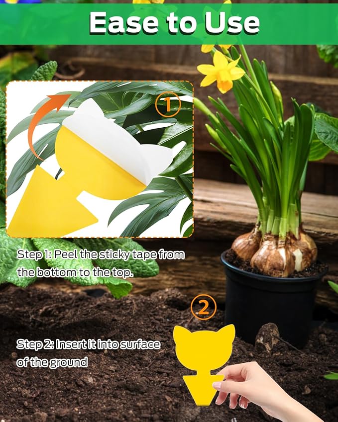 Gnat Traps for House Indoor Plants, Fruit Fly Traps for Indoors Sticky, Fungus Gnat Sticky Trap, 50pcs, Non-Toxic, Odorless, Harmless to Vegetables, Fruits, Plants