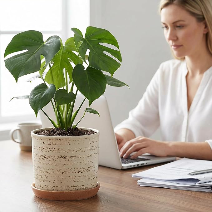 6 Inch Plant Pot: Ceramic Planter with Drainage Hole & Saucer - Flowerpot for Indoor & Outdoor Plants with Separate Tray for Home & Office - Brush Color
