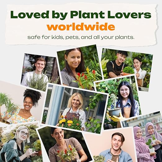 RichFarm Booster, Soil Condition Powder, Root Stimulator for Indoor or Outdoor Plant, Billion Microbes, Work with Any Fertilizer or Plant Food, Organic, Natural Plant Protector, 5 Pouch