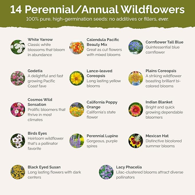 Eden Brothers Bird & Butterfly Wildflower Mixed Seeds for Planting, 50 lb, 24,000,000+ Seeds with Cosmos, Indian Blanket | Attracts Pollinators, Plant in Spring or Fall, Zones 3, 4, 5, 6, 7, 8, 9, 10
