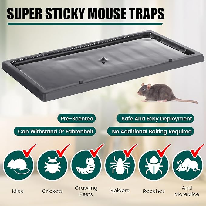 Qualirey 16 Pcs Cold Weather Glue Traps Freeze Resistant Sticky Mouse Traps Heavy Duty Safe Pest Control Adhesive Tray Pre Baited Easy to Use Glue Boards for Winter Mice Rat Spider Indoor Home Garage