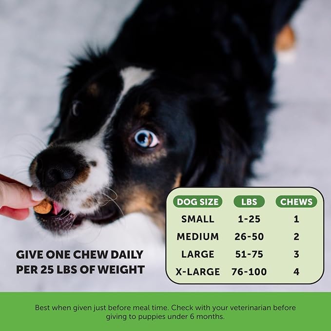 Bladder Health Cranberry Supplement for Dogs – Kidney Support for Dogs, Cranberry & D-Mannose for Dog Urinary Tract Health, Dog Urine & Bladder Support (Chicken)