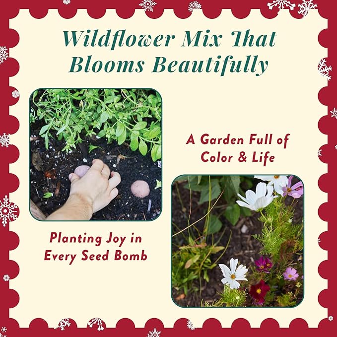 Modern Sprout Wildflower Seed Ball Poop - Christmas Gift - Non-GMO, Hand-Rolled Clay Seed Bombs with Wildflower Seeds - Plop Plant & Grow Gardening Gift Set for Kids & Adults (Jingle Plop - Pack of 3)