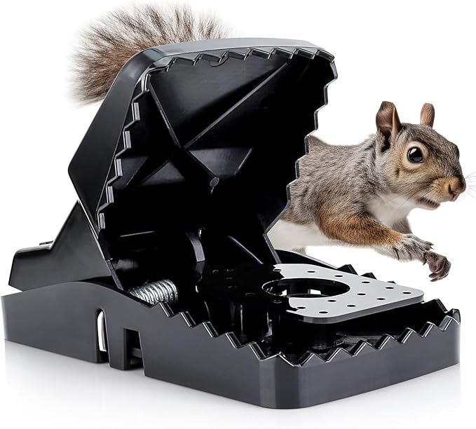 Squirrel Trap (2 Pack) - Consistent & Humane Kill Every Time with no Failures - Powerful Spring - 5" Large Opening - 96% Instant Kill - for Attic, Garden, Forest & More - Reusable - Easy Setup