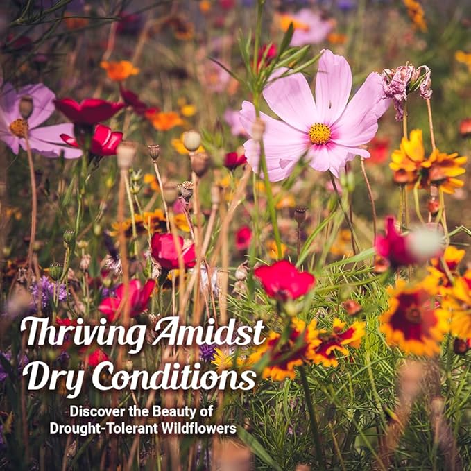 Drought Tolerant Wildflower Seeds - 4oz, Open-Pollinated Bulk Flower Seed Mix for Beautiful Perennial, Annual Garden Flowers - No Fillers - 4 oz Packet