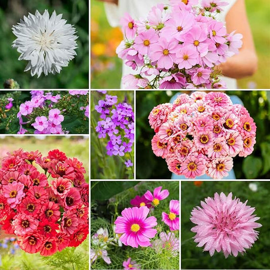 Eden Brothers Tickled Pink Flower Mixed Seeds for Planting, 1 lb, 480,000+ Seeds with Cosmos, Cornflower, Zinnia | Attracts Pollinators, Plant in Spring or Fall, Zones 3, 4, 5, 6, 7, 8, 9, 10