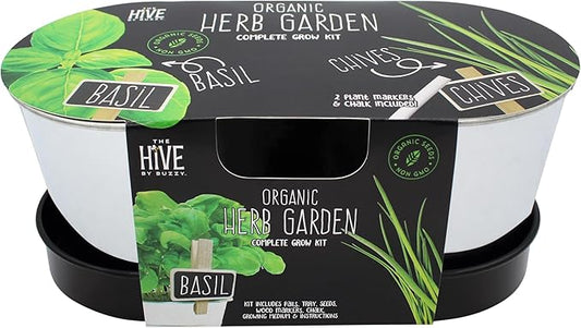 BUZZY Seeds Kitchen Herb Garden Kit with 2-Pot Metal Planters with Plant Markers, Organic Basil and Chive Seeds, Coconut Husk Growing Medium, Indoor Countertop Gardening Gift