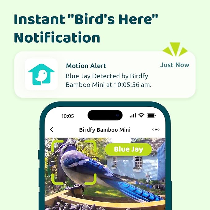 Birdfy Smart Bird Feeder with Camera, High-End Bamboo, Solar Powered, 2K HD Live Stream, Auto Capture Birds & Notify in Time, AI Recognition, Ideal Present for Bird-Watching&Learning
