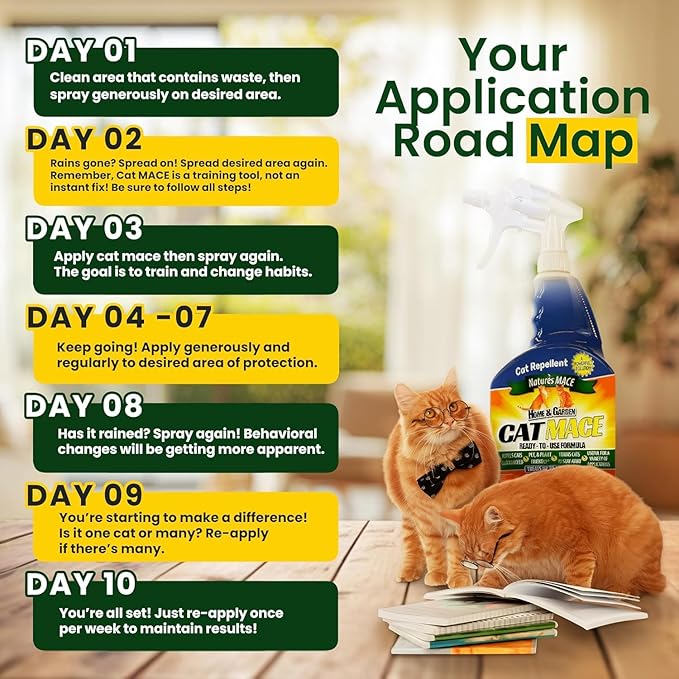 Nature's Mace Cat Mace Cat Repellent, Spray Deterrent for Urine Marking, Keep Cats Away for Outdoor & Indoor Use, Scratching, Flowerbeds, Yards, Pets, Garden, Plants, Ready-to-Use, 40 oz Spray
