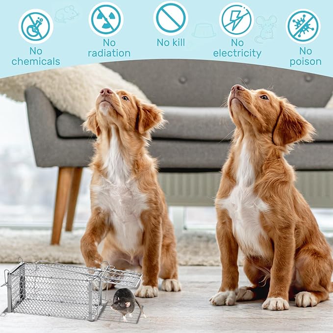 Qualirey 8 Pcs Humane Rat Trap Chipmunk Squirrel Cage Trap Foldable Rodent for Small Live Animal Voles Hamsters Catch and Release for Kitchen Yard Garage Indoors Outdoors (Black,Silver)