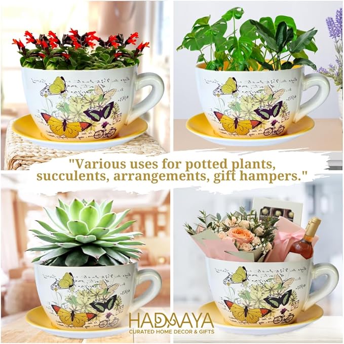 7.5" Round Ceramic Teacup Shape Planter Pot with Saucer for Succulents Orchids Herbs Cactus Indoor Houseplants Flowers for Home Garden and Event Decor – Orange Poppy Floral